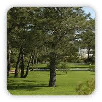 Park Adventure Caparica